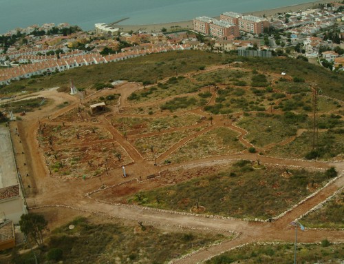 Parque Arqueológico